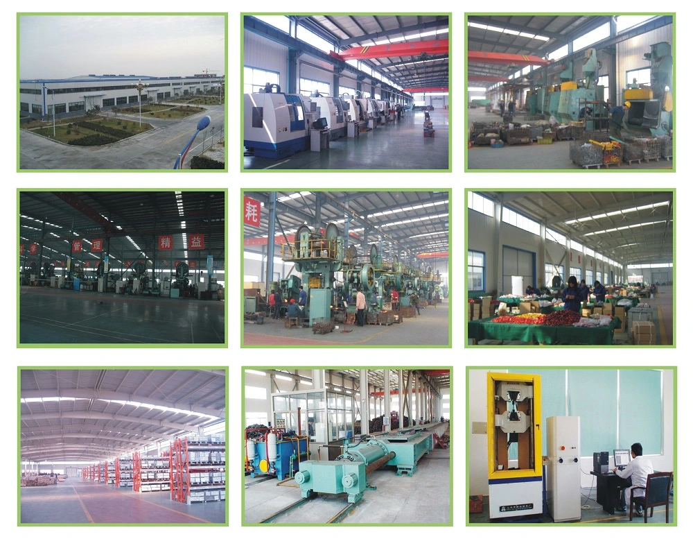 Dispositif d'accrochage inoxydable d'arc de plaque d'acier de haute performance d'usine de la Chine