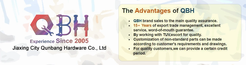 Qbh a adapté la vis aux besoins du client de la tête SDS de gaufrette de botte