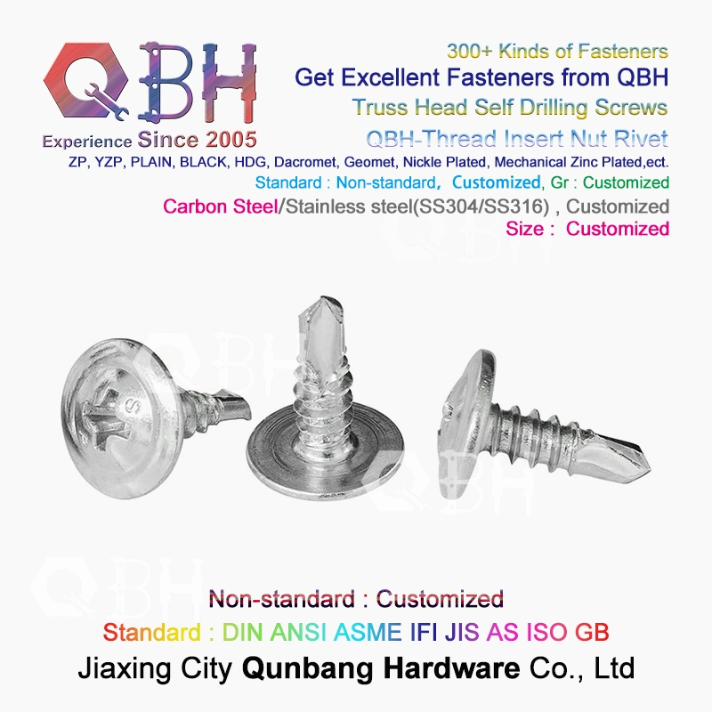 Qbh a adapté la vis aux besoins du client de la tête SDS de gaufrette de botte