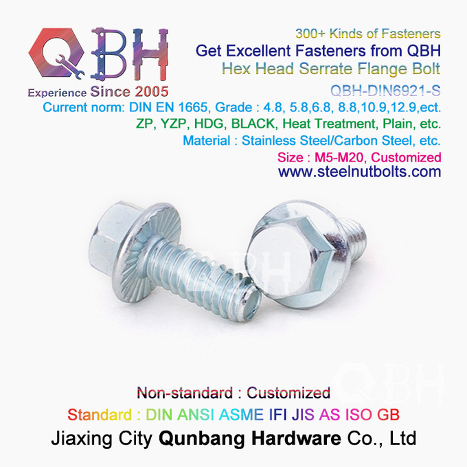Carbone galvanisé de QBH DIN6921 M5-M20/noir/simple blanc bleu/boulon à verrouillage automatique dentelé de bride acier inoxydable 2